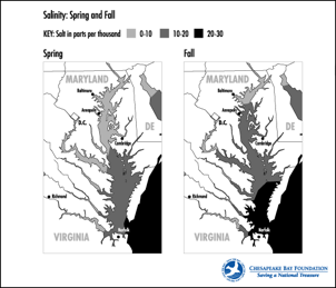 salinity2