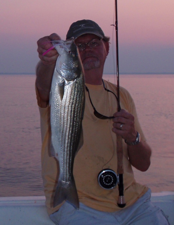 Kent Island Fly Fishing Chesapeake Light Tackle