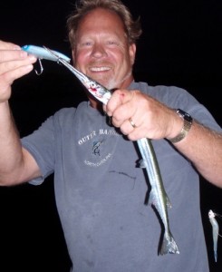 needlefish1