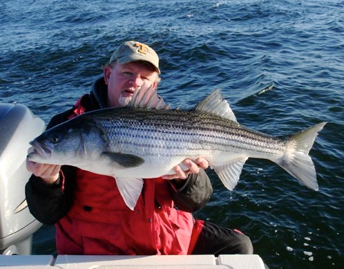 Predawn is the right time to fish for stripers