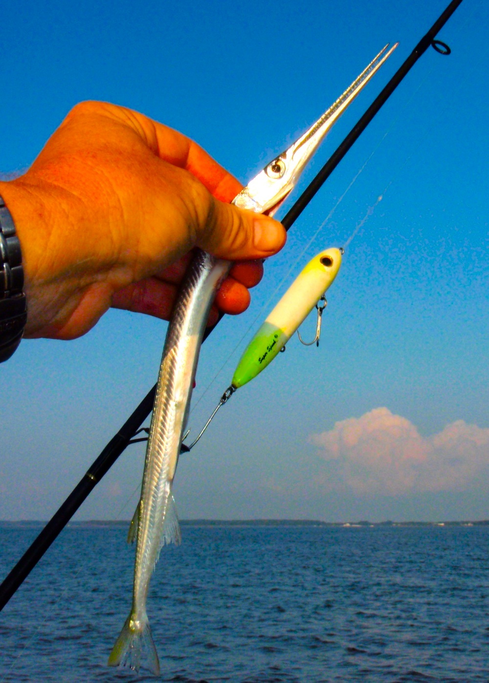 Go East, Young Man (and Shallow!) - Chesapeake Light Tackle