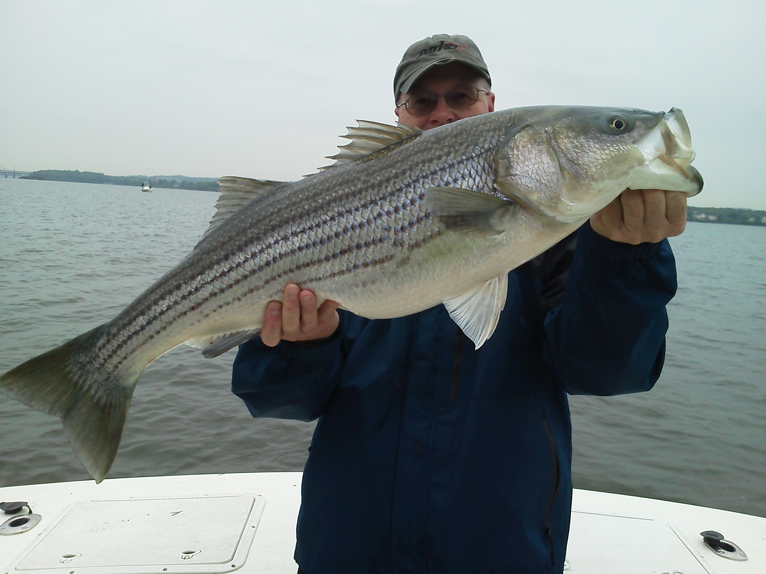 Strike Triggers Part 4 – Taste & Smell - Chesapeake Light Tackle