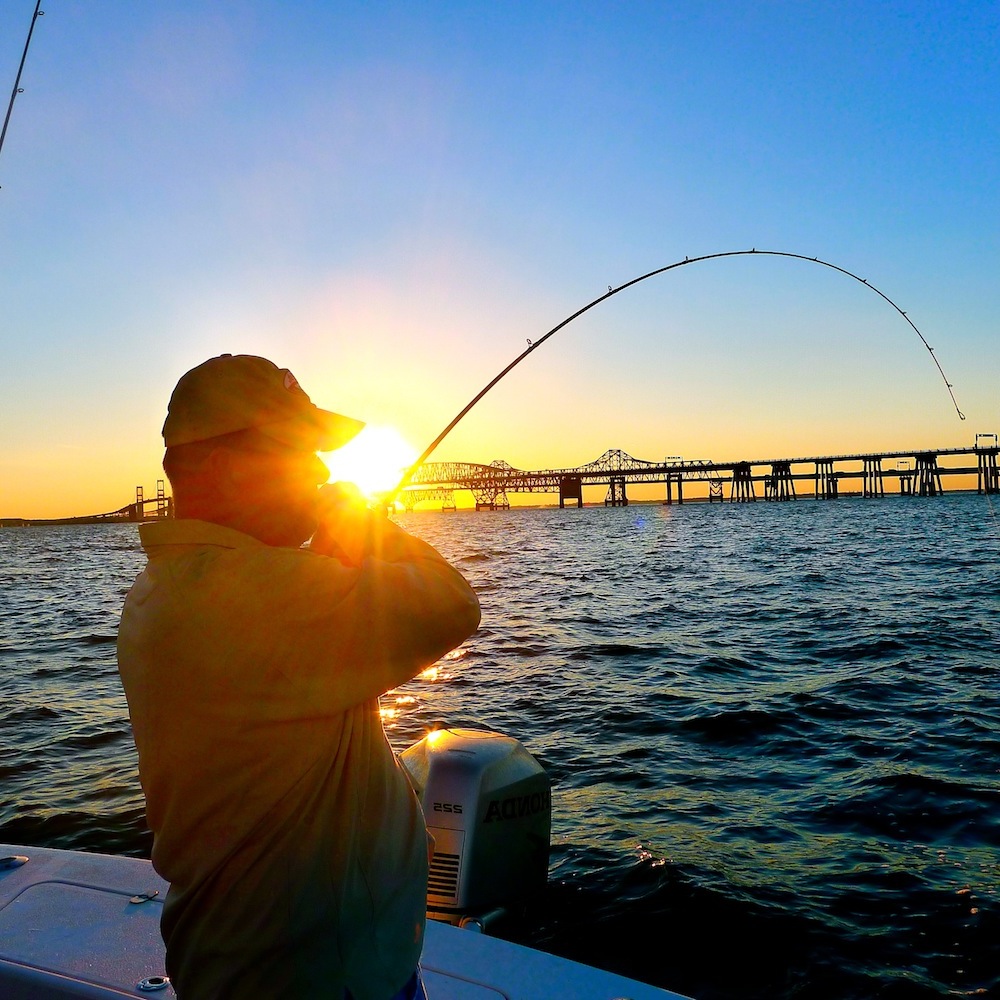 choose the right rod - Chesapeake Light Tackle