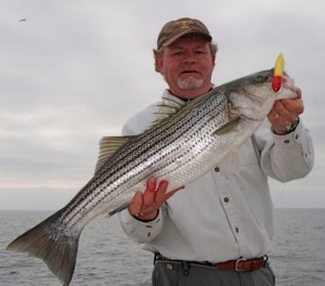 Six Tips for Choosing a Top-water Rod - Chesapeake Light Tackle