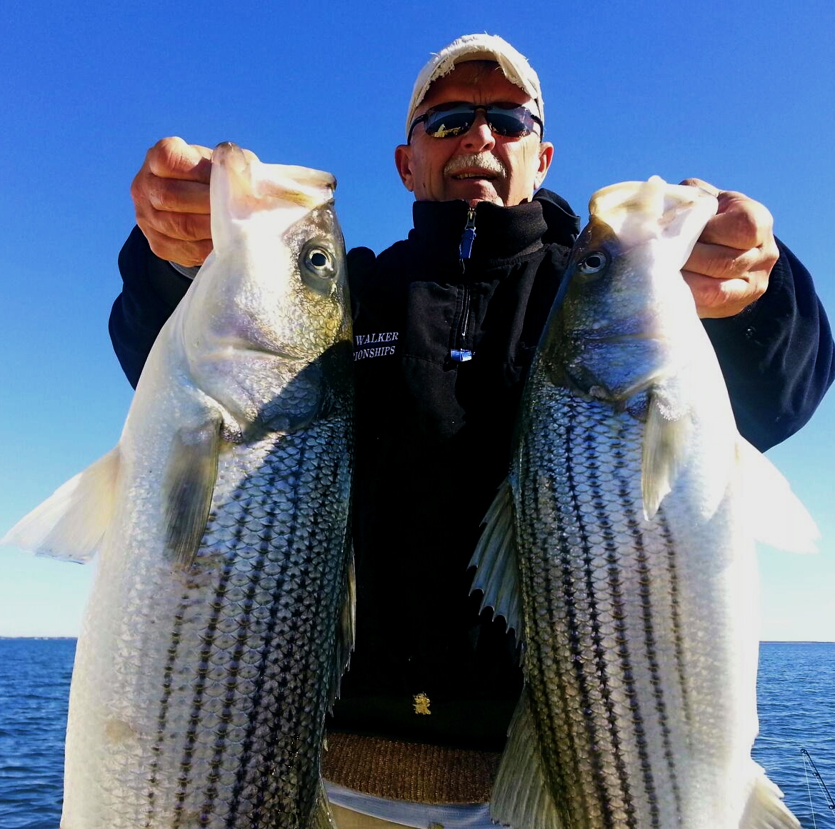 The Elite Express – Fall Patterns - Chesapeake Light Tackle