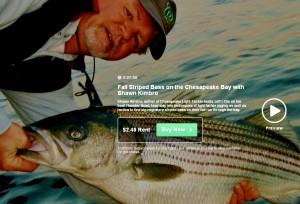 Preview the video Fall Striper Patterns