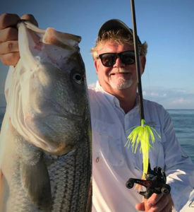 In Praise of Hawaiian Wigglers - Chesapeake Light Tackle