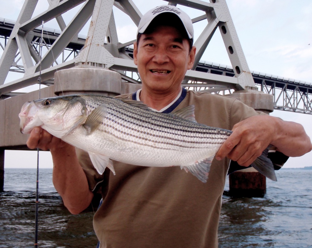 Two Sides of Kent Island Chesapeake Light Tackle