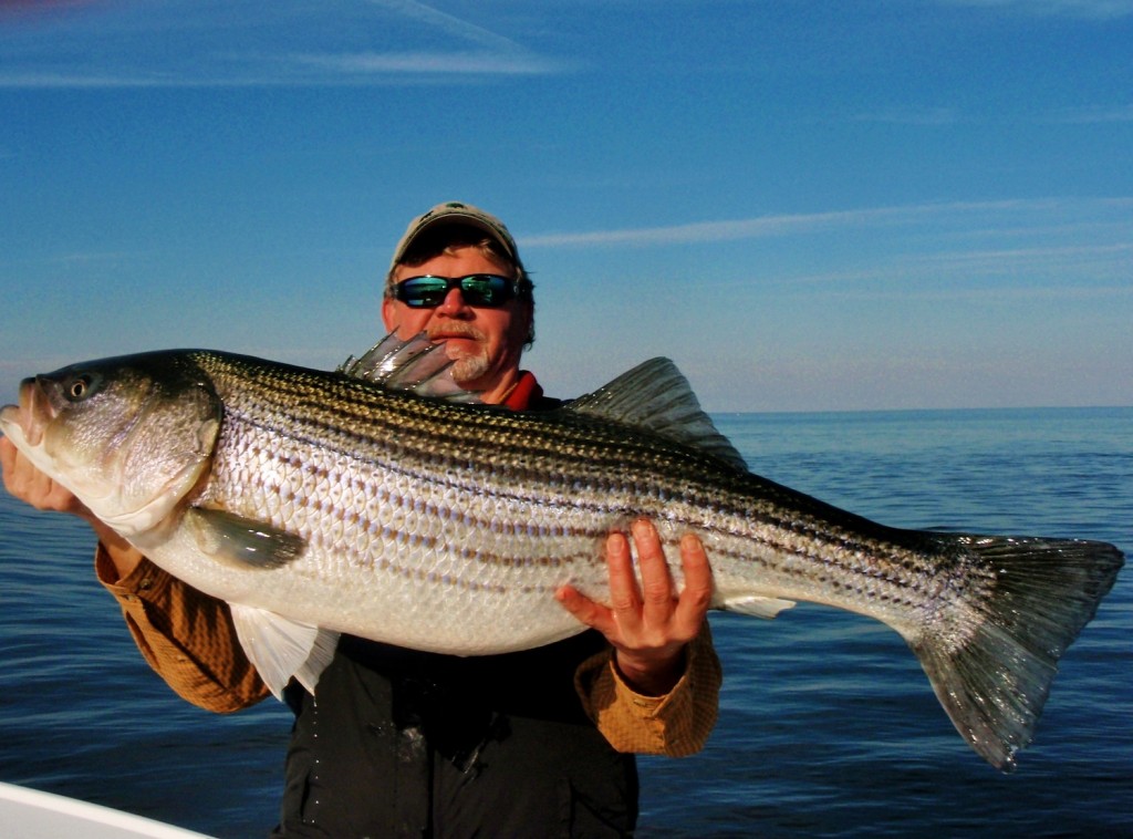 The Best Fishing Spot In The Bay Chesapeake Light Tackle